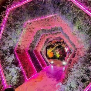 Entrance Decorations