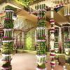 Mandap Decorations