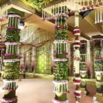 Mandap Decorations