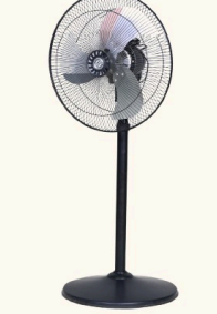 Pedestal Fan
