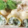 Cannelloni Classic Pasta