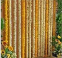 Haldi Decoration