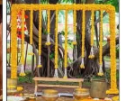 Haldi Decoration